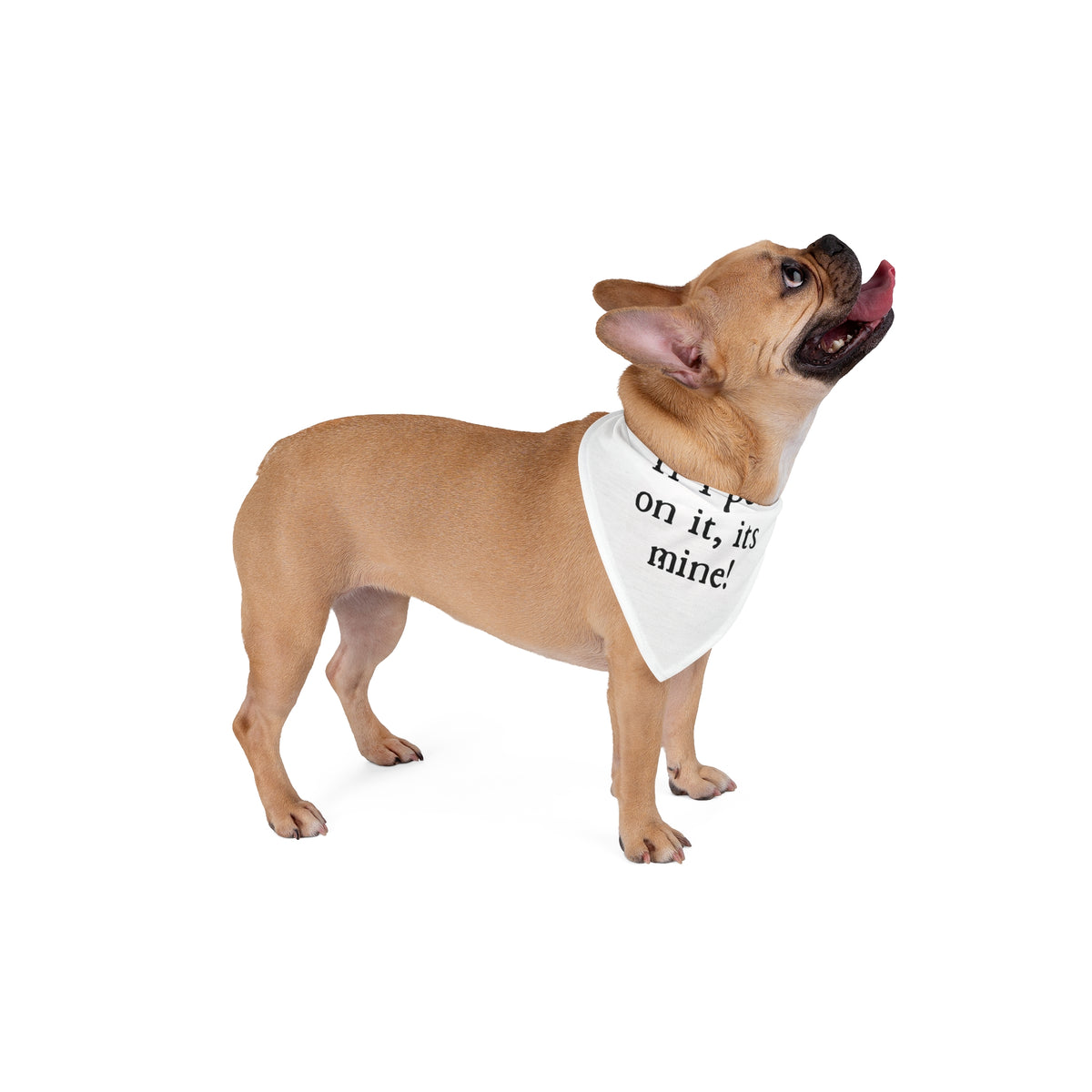 Pet Bandana — "If I pee on it, it's mine!" Funny Dog Bandana, Novelty Puppy Accessory for Walks & Gifts