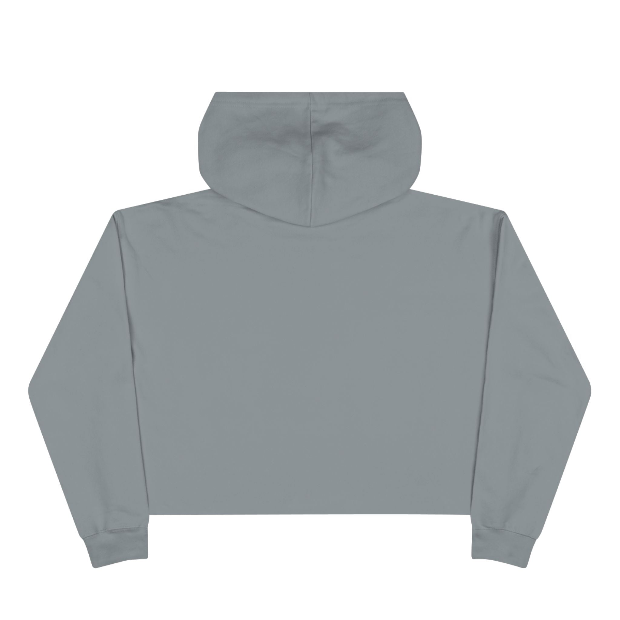 Recovery Crop Hoodie — "My Sobriety Is Proof Anyone Can Recover From Addiction" Inspirational Cropped Sweatshirt