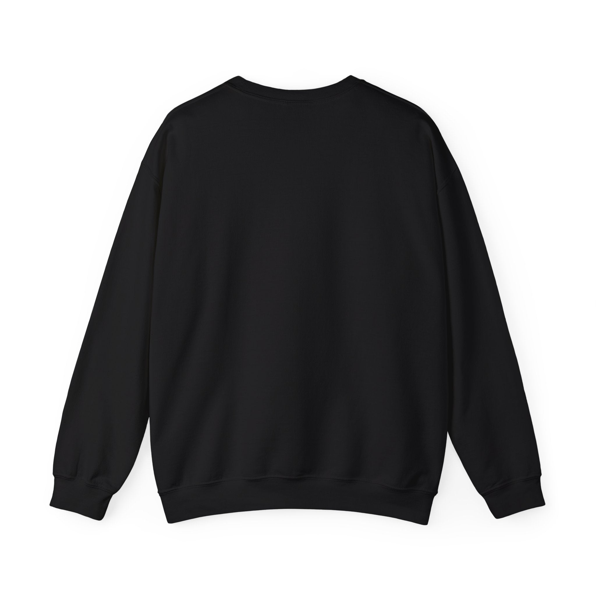 Sobriety Message Sweatshirt — "My Sobriety Is Proof Anyone Can Recover From Addiction" Inspirational Crewneck