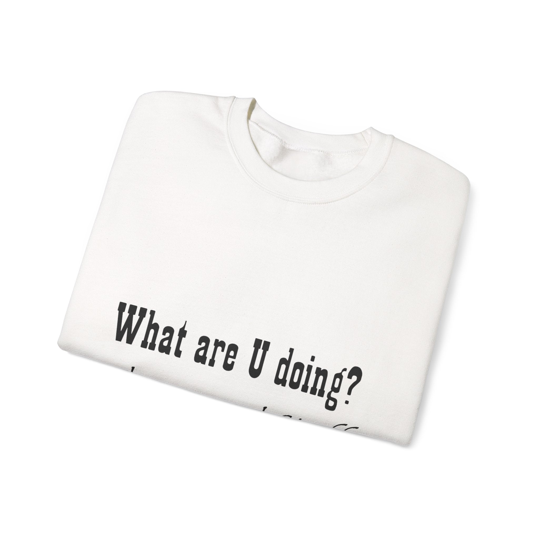 Crewneck Sweatshirt — "What are U doing? Things and Stuff" Casual Graphic Pullover