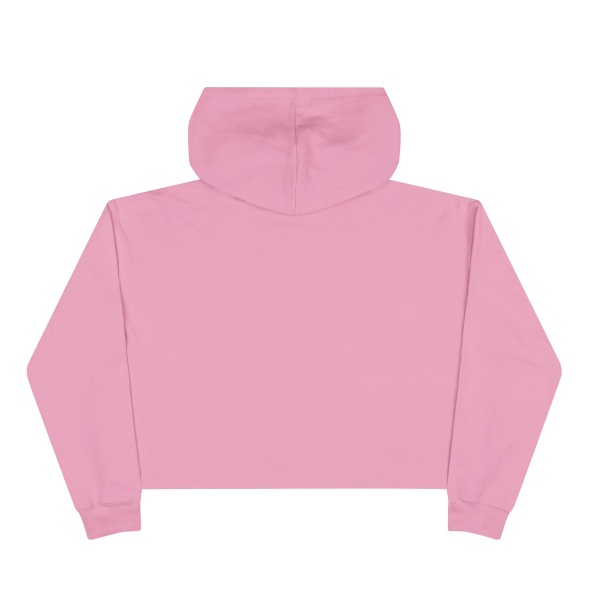 Recovery Crop Hoodie — "My Sobriety Is Proof Anyone Can Recover From Addiction" Inspirational Cropped Sweatshirt