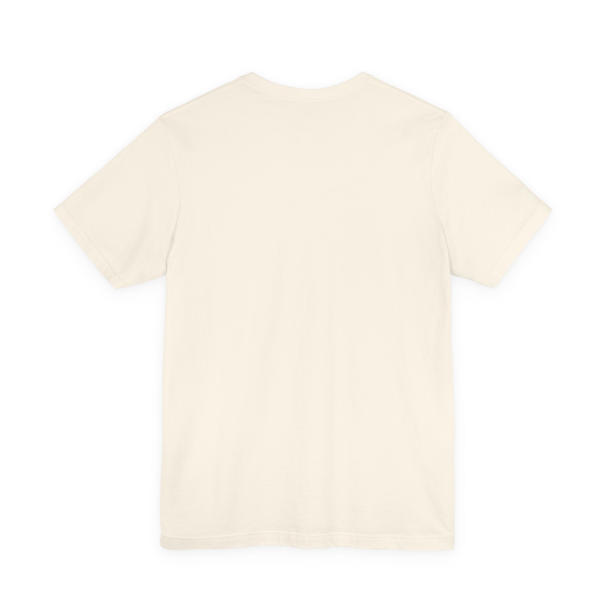 Recovery T‑Shirt – “My Sobriety Is Proof Anyone Can Recover From Addiction” Inspirational Tee