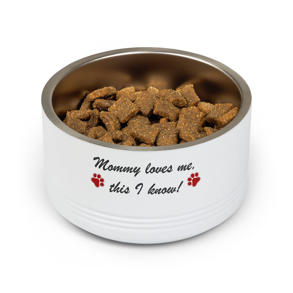 Pet Bowl — "Mommy loves me, this I know!" Stainless 18oz