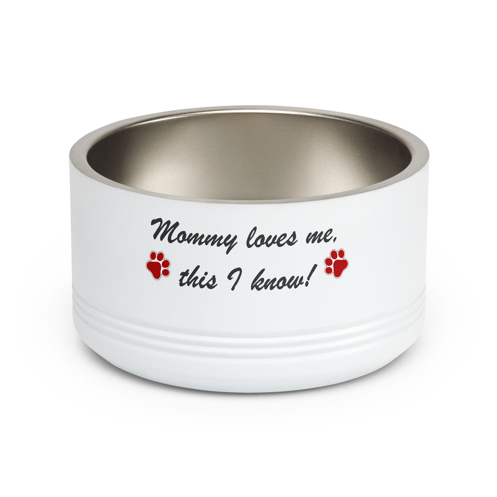 Pet Bowl — "Mommy loves me, this I know!" Stainless 18oz